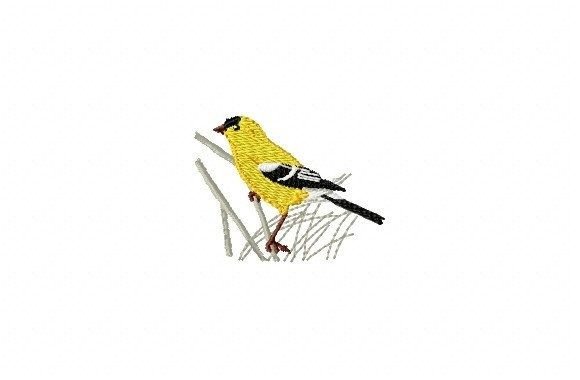 Bird on a Branch: A Designer’s Review for Boutique Sweatshirts